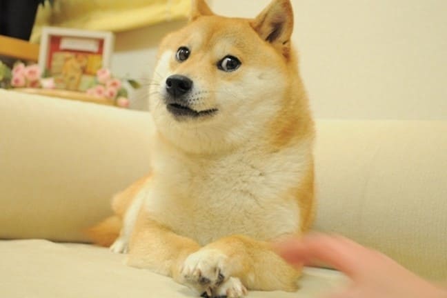 Doge Meme